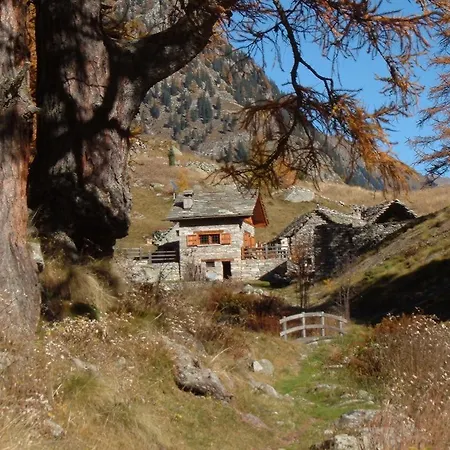 A Suli *
